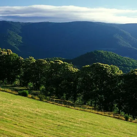 Vvf Les Cevennes